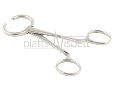 Collingwood Stewart Hernia Forceps - PN0095