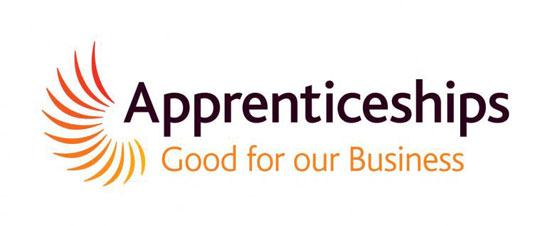 Apprenticeships