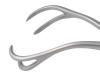 Twin Point Fragment Forceps, Curved  - PN0198