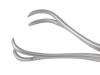 Twin Point Fragment Forceps, Straight  - PN0506